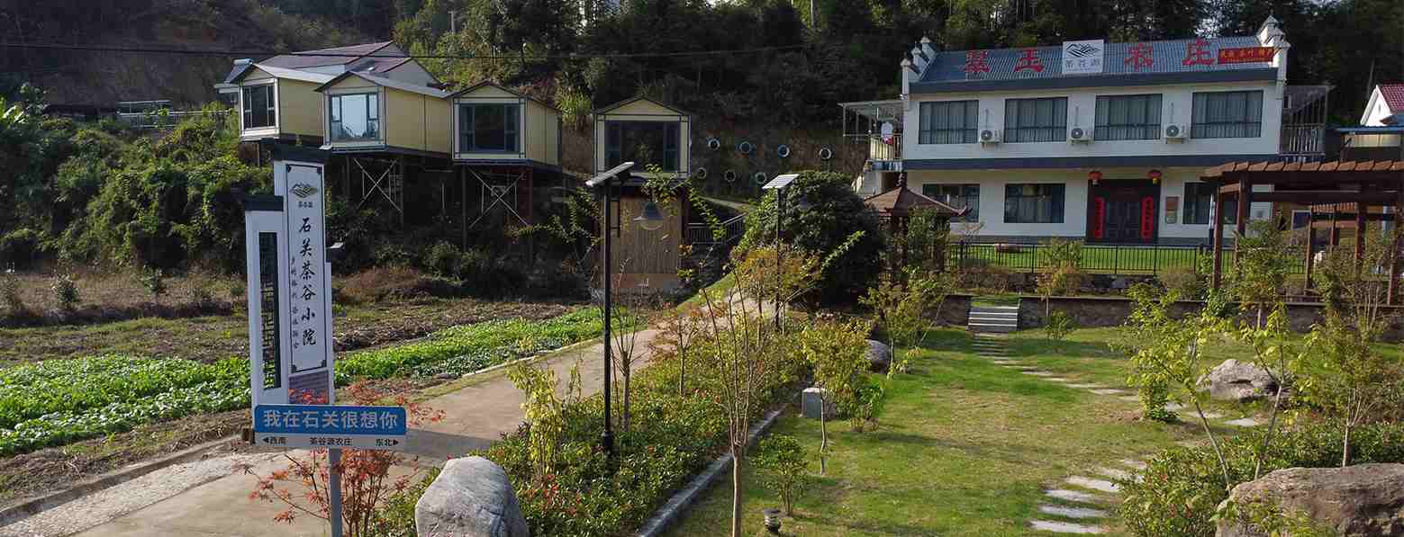 茶山风光