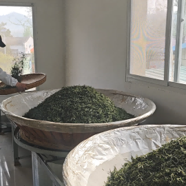 炭火烘焙