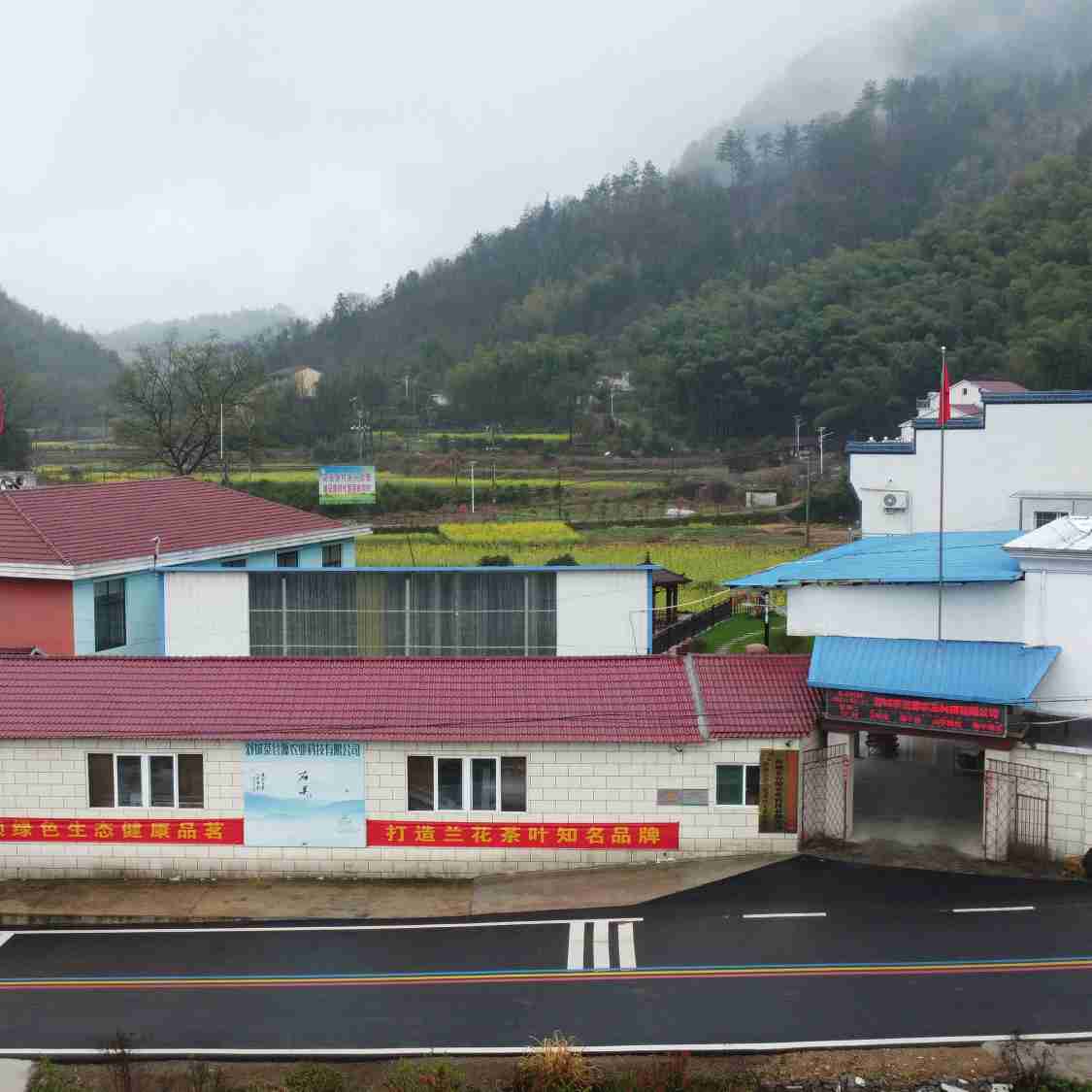 茶叶厂房