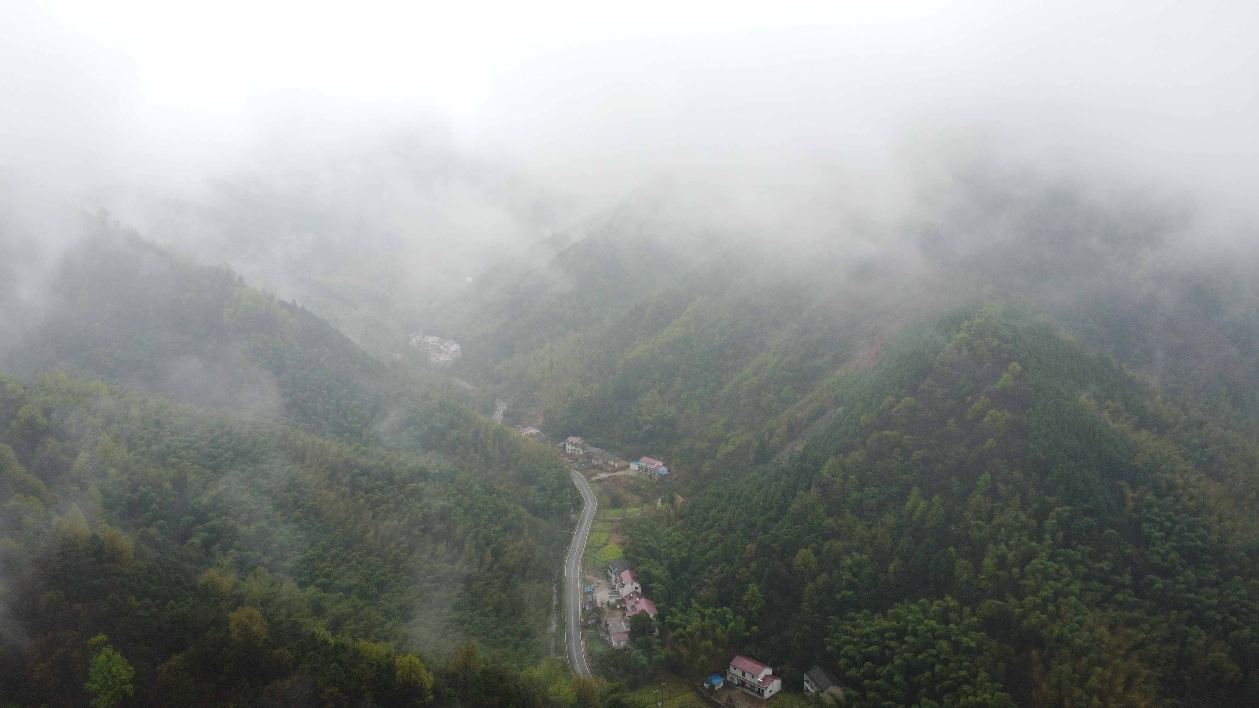 高山云雾