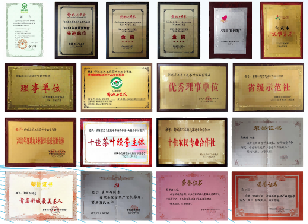 荣誉证书