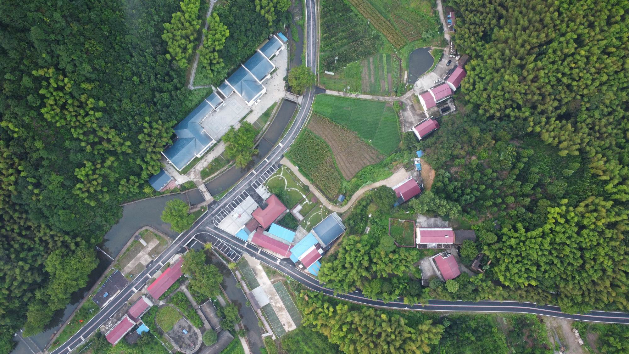 新农村